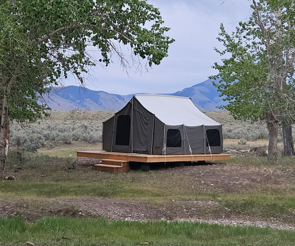 timber creek ranch